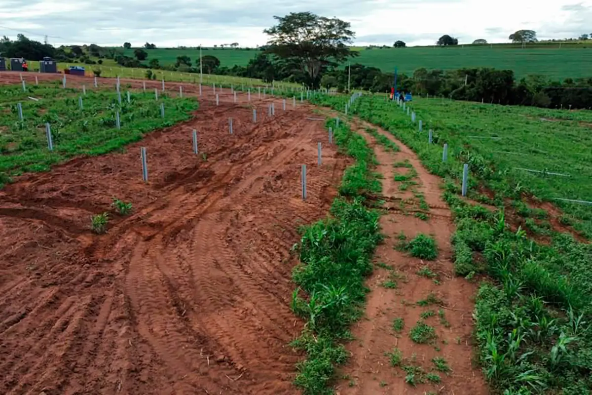 weg_ufv_bilac_fase_1_0002