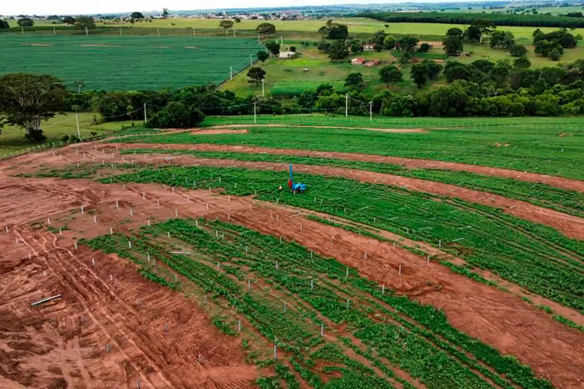 weg_ufv_bilac_fase_1_0004